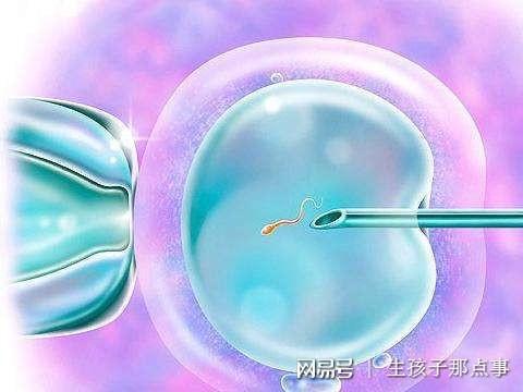 早孕测试