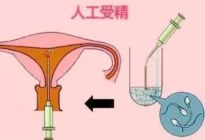 大卫早早孕测试