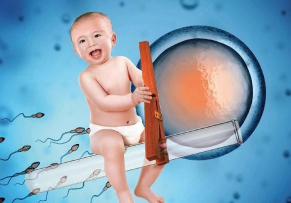 大卫和毓婷早孕试纸