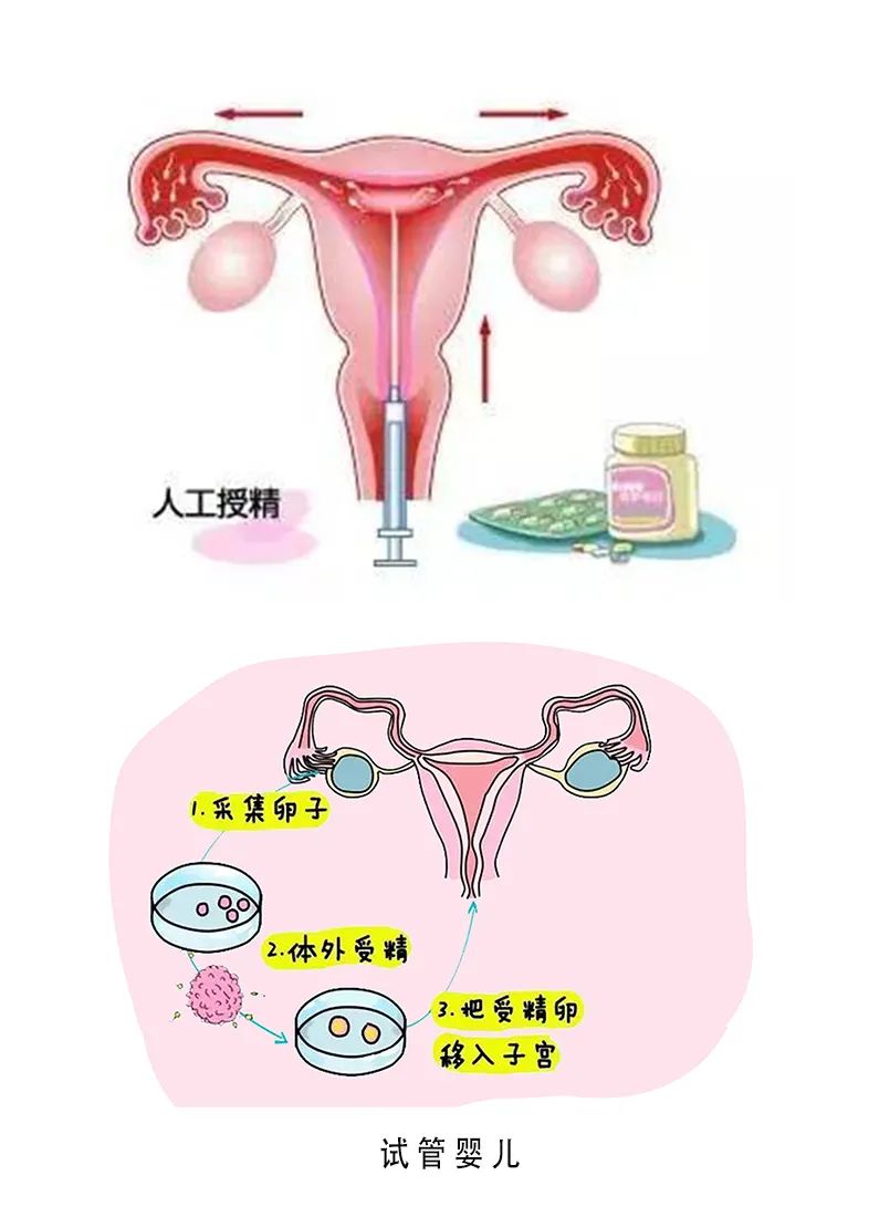 大卫早孕试纸