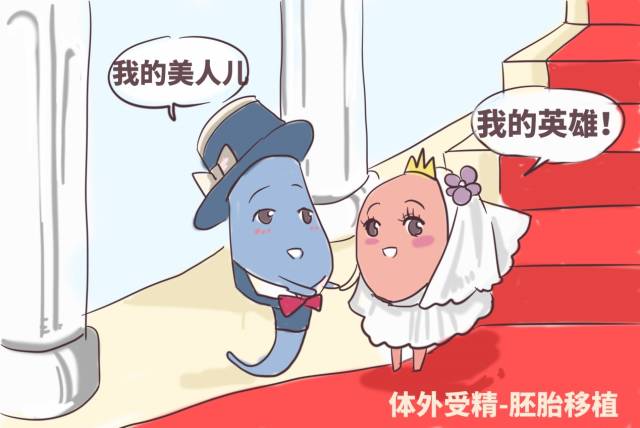 大卫早早孕试纸