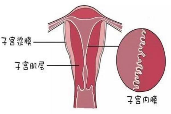大产权房