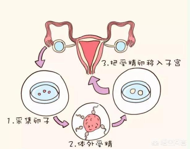 大产权房屋