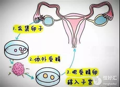 大卫早早孕试纸
