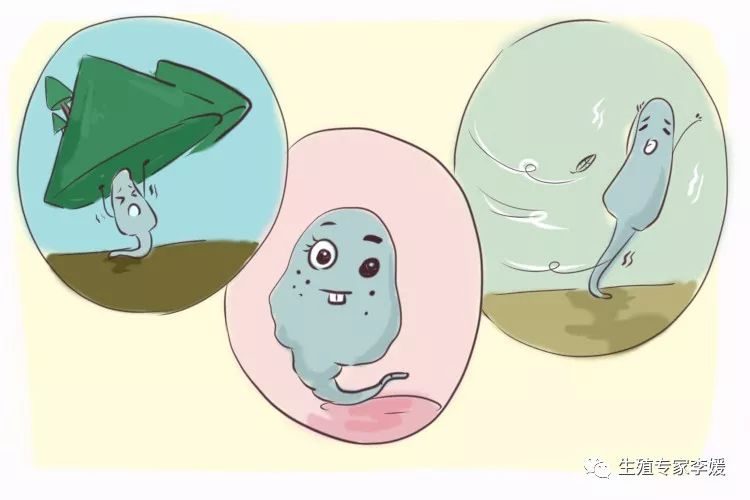 大卫早早孕试纸