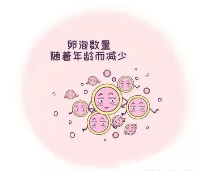 大卫早孕试纸