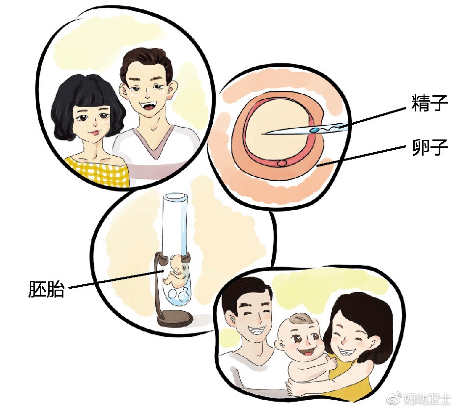 大卫早早孕试纸