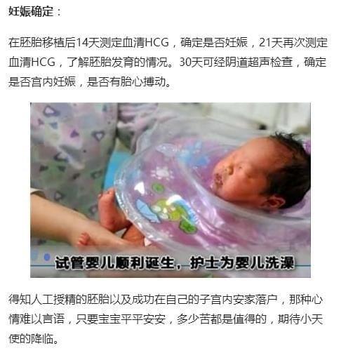 大卫早孕试纸