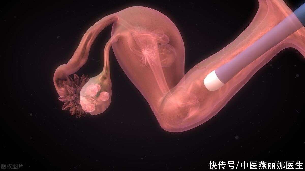 大卫早早孕试纸
