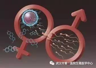 月经血块