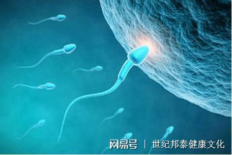 姨妈有血块腰疼怎么回事