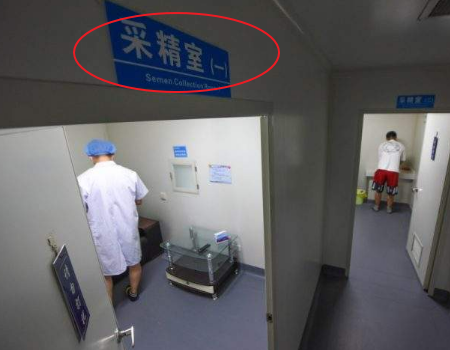 大卫早孕试纸