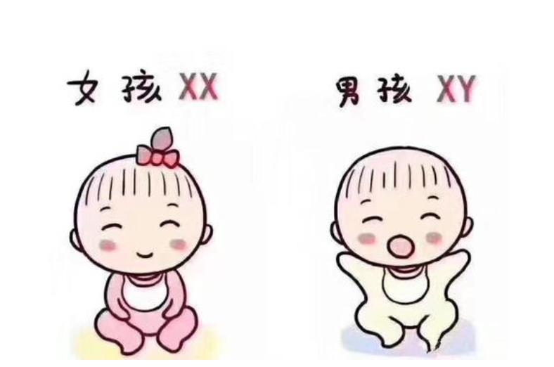 大卫早早孕试纸