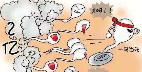 大卫早早孕试纸