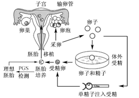 AI绘画