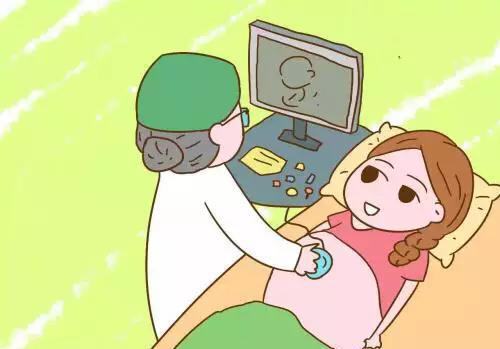 大卫早孕试纸