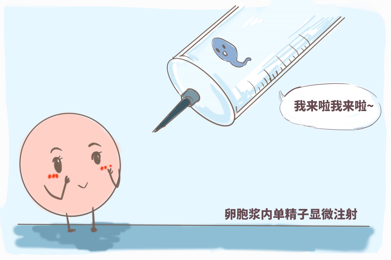 大卫验孕试纸