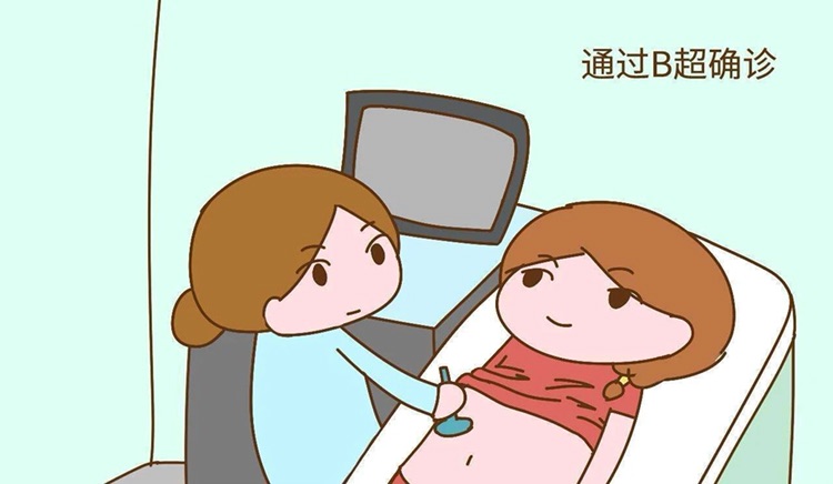 大卫早早孕试纸