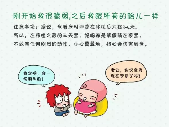 大卫早早孕试纸