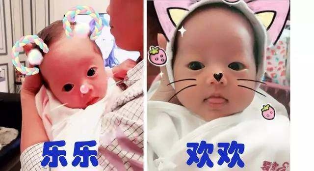 大卫早孕试纸