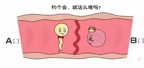 大卫早早孕试纸条