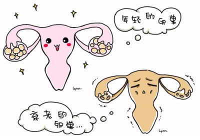 姨妈前一个星期老是饿
