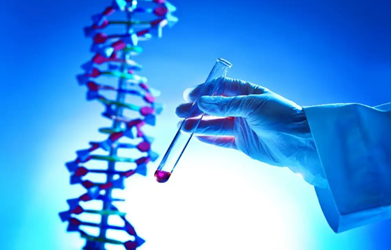 大卫早早孕试纸