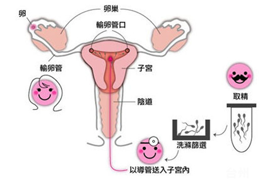 来月经