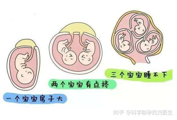 大卫验孕试纸