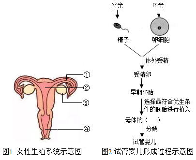 宁波代怀孕捐卵