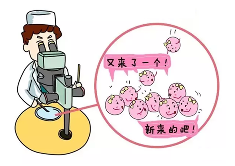 孕期亲子鉴定