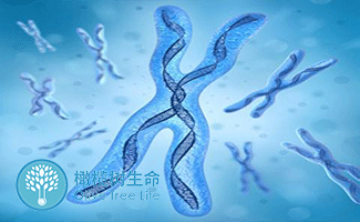 宁波供卵公司